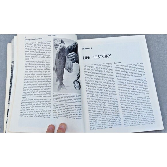 Trout Fishermans Bible - Paperback, by Holland Dan - Acceptable-1962, Fishing - Picture 10 of 13